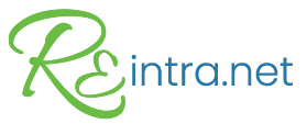 REintra.net Logo